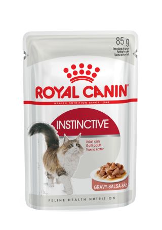 Instinctive (in gravy)